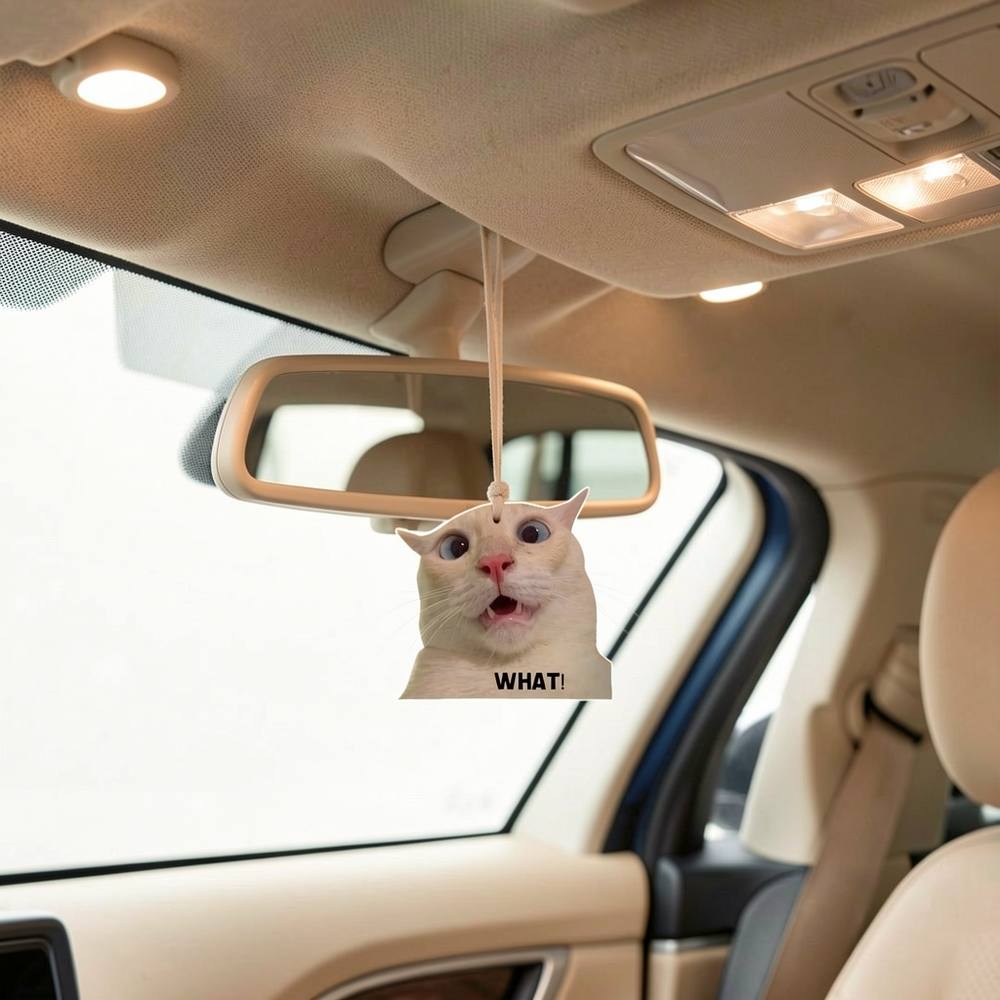 혁신적인 자동차 방향제 젤 디퓨저로 지속적이고 기분 좋 - Gel Air Freshener 리뷰 및 가격