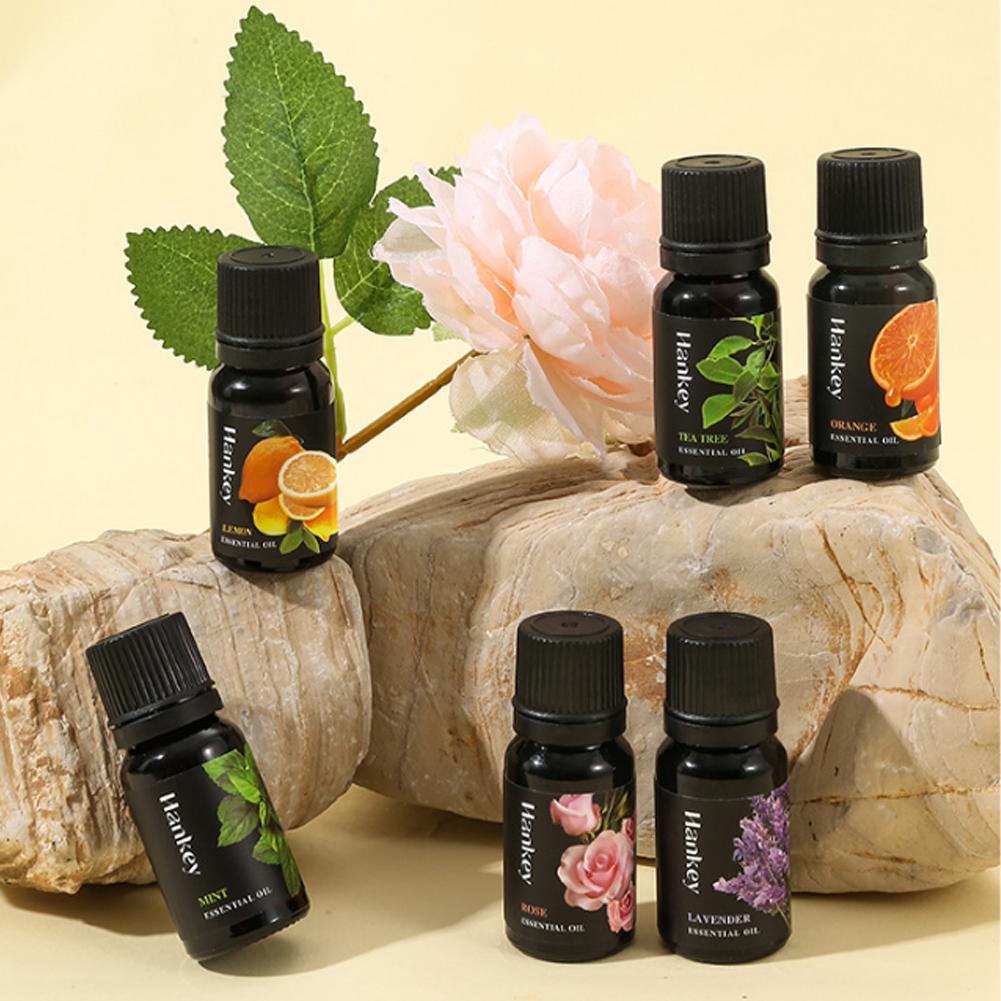 10ml 천연 식물 에센셜 오일 세트 홈 오피스 요가용 - Home Fragrance Aroma Set 리뷰 및 가격